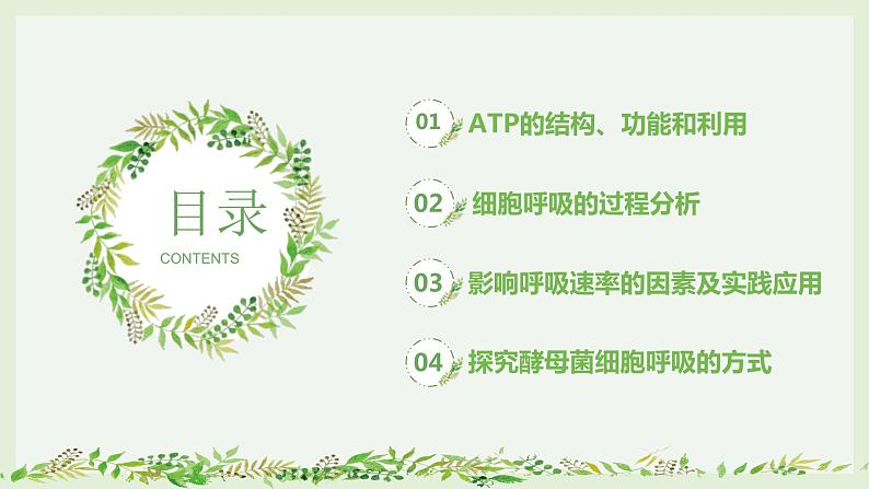 高考生物一轮复习精品课件专题3.2 ATP与细胞呼吸（含解析）第5页