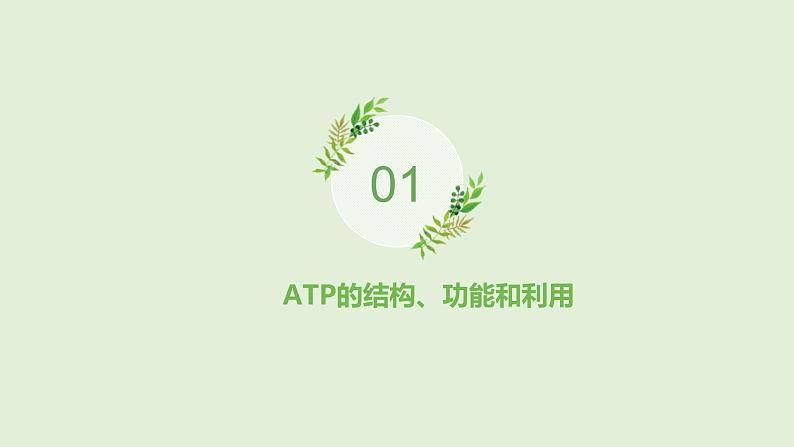 高考生物一轮复习精品课件专题3.2 ATP与细胞呼吸（含解析）第6页