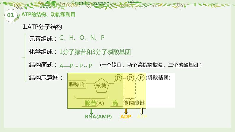 高考生物一轮复习精品课件专题3.2 ATP与细胞呼吸（含解析）第7页