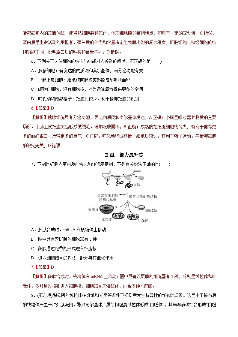 高考生物一轮复习刷题练习专题2.2 细胞器——系统的分工合作（含解析）第3页