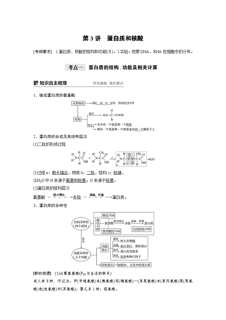 高考生物一轮复习讲练 第1单元 第3讲　蛋白质和核酸 (含解析)01