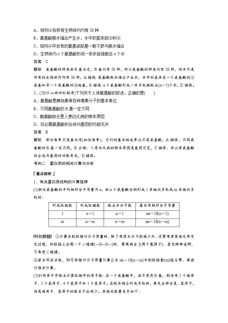 高考生物一轮复习讲练 第1单元 第3讲　蛋白质和核酸 (含解析)03