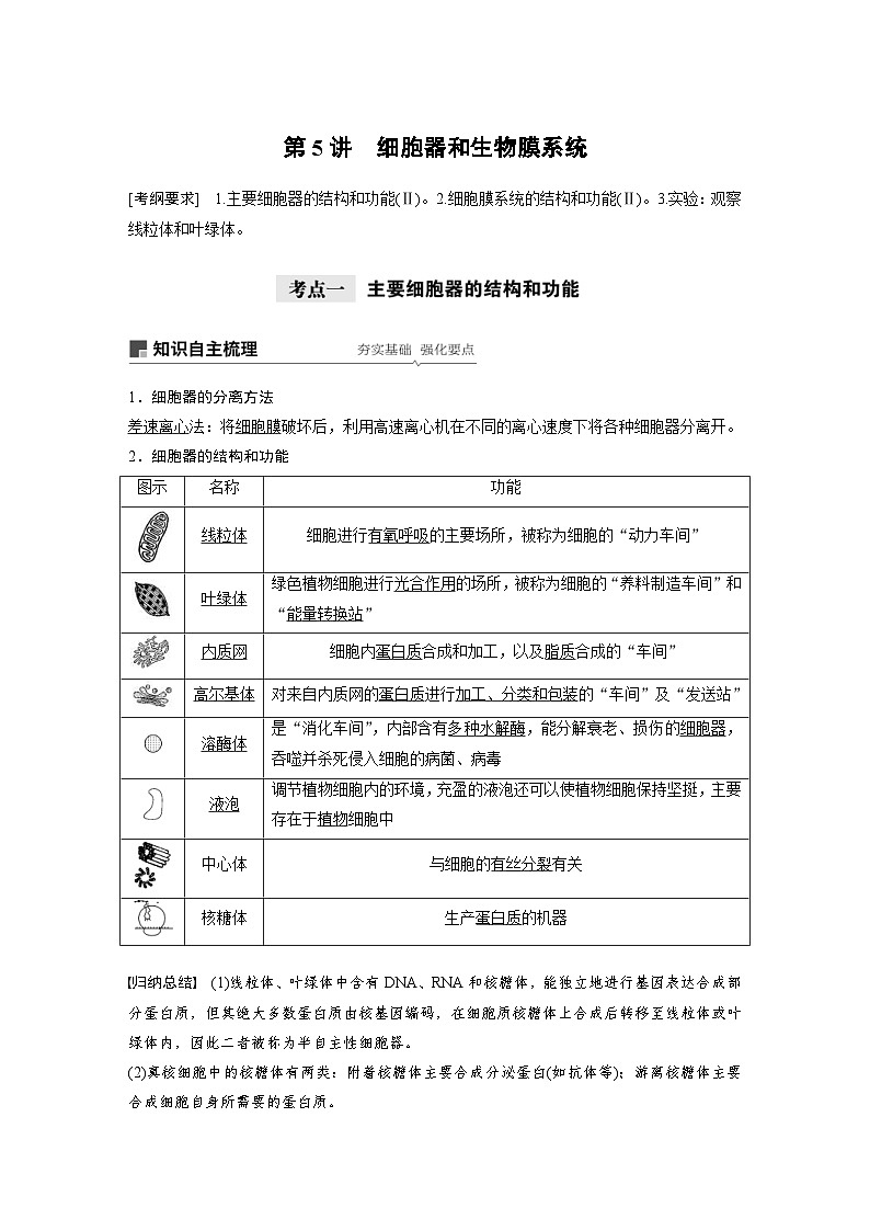 高考生物一轮复习讲练 第2单元 第5讲　细胞器和生物膜系统 (含解析)01