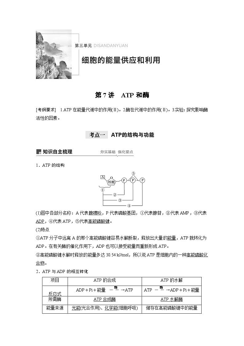 高考生物一轮复习讲练 第3单元 第7讲　ATP和酶 (含解析)第1页
