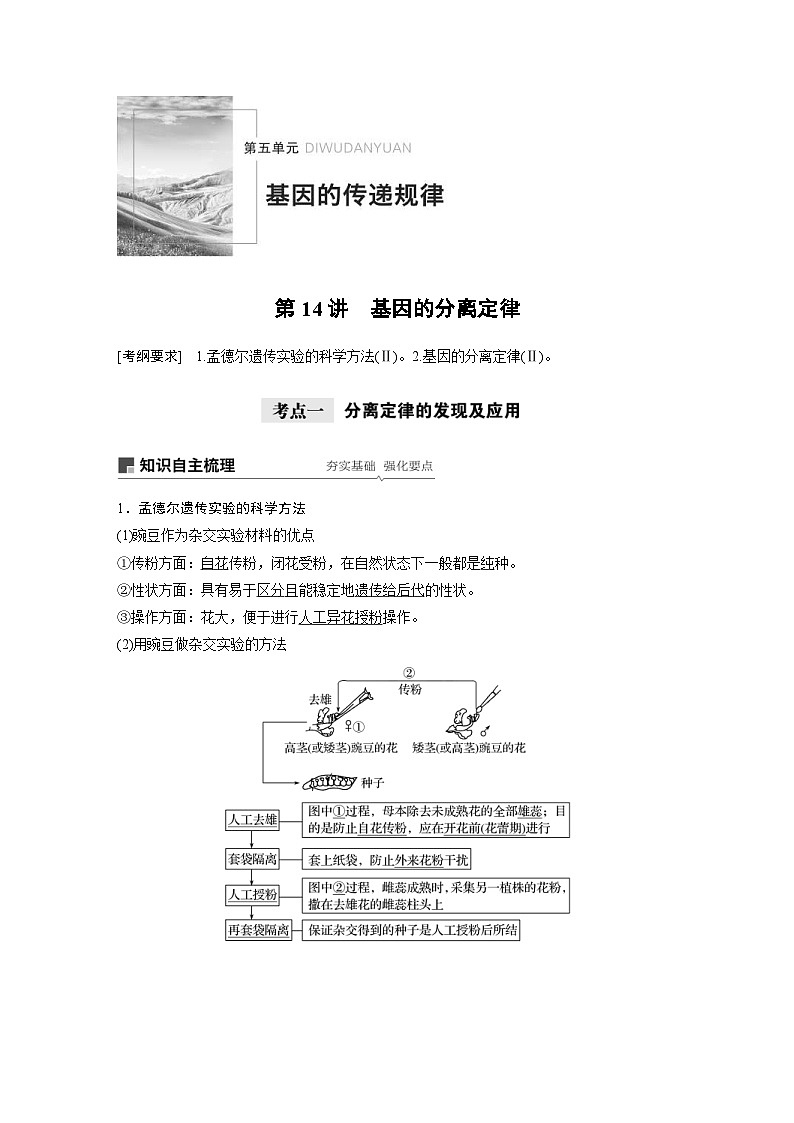 高考生物一轮复习讲练 第5单元 第14讲　基因的分离定律 (含解析)第1页