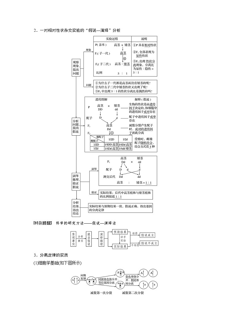 高考生物一轮复习讲练 第5单元 第14讲　基因的分离定律 (含解析)第2页