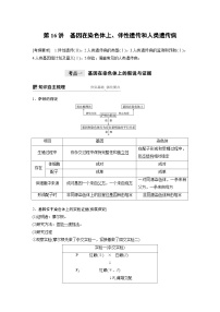 高考生物一轮复习讲练 第5单元 第16讲　基因在染色体上、伴性遗传和人类遗传病 (含解析)