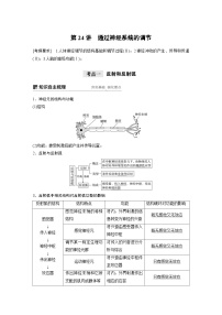 高考生物一轮复习讲练 第8单元 第24讲　通过神经系统的调节 (含解析)