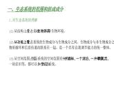 高中生物人教版（2019）选择性必修2第三章3.1《生态系统的结构》课件+同步练习