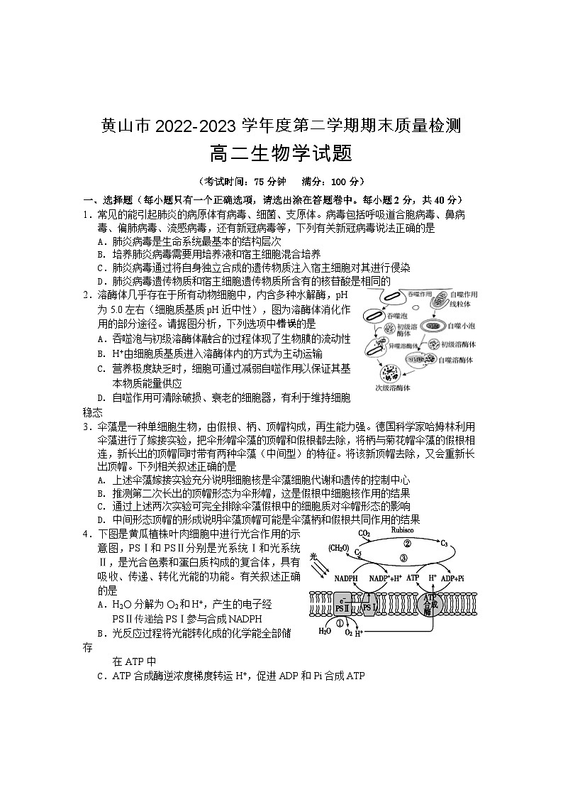 安徽省黄山市2022-2023学年高二生物下学期期末考试试卷（Word版附答案）01