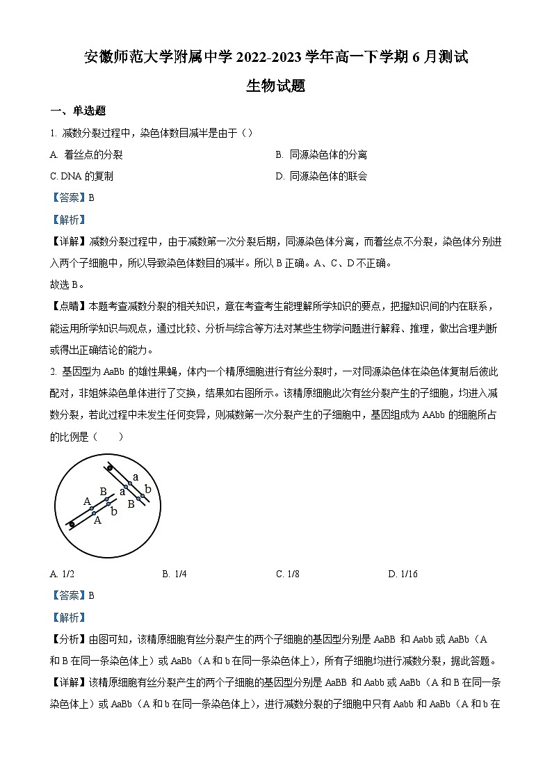 安徽师范大学附属中学2022-2023学年高一生物下学期6月测试试题（Word版附解析）01