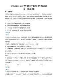 安徽省庐江县2022-2023学年高一生物下学期7月期末抽测试题（Word版附解析）