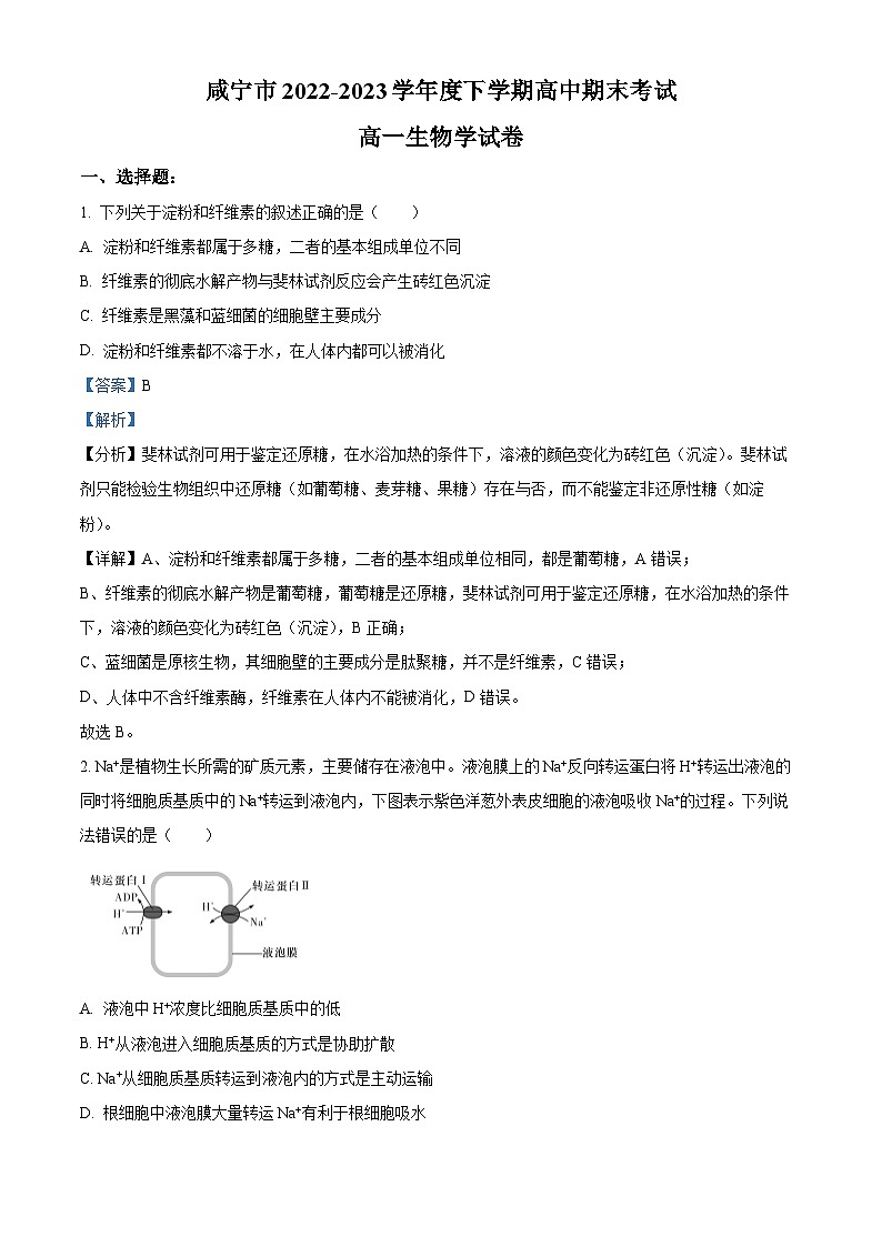 湖北省咸宁市2022-2023学年高一生物下学期期末试题（Word版附解析）01
