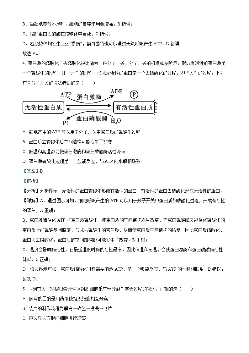 湖北省咸宁市2022-2023学年高一生物下学期期末试题（Word版附解析）03