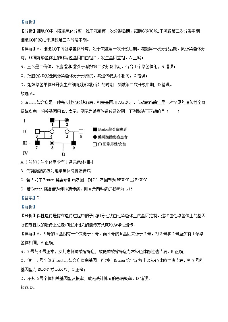 湖北省新高考联考协作体2022-2023学年高一生物下学期期末联考试题（Word版附解析）03