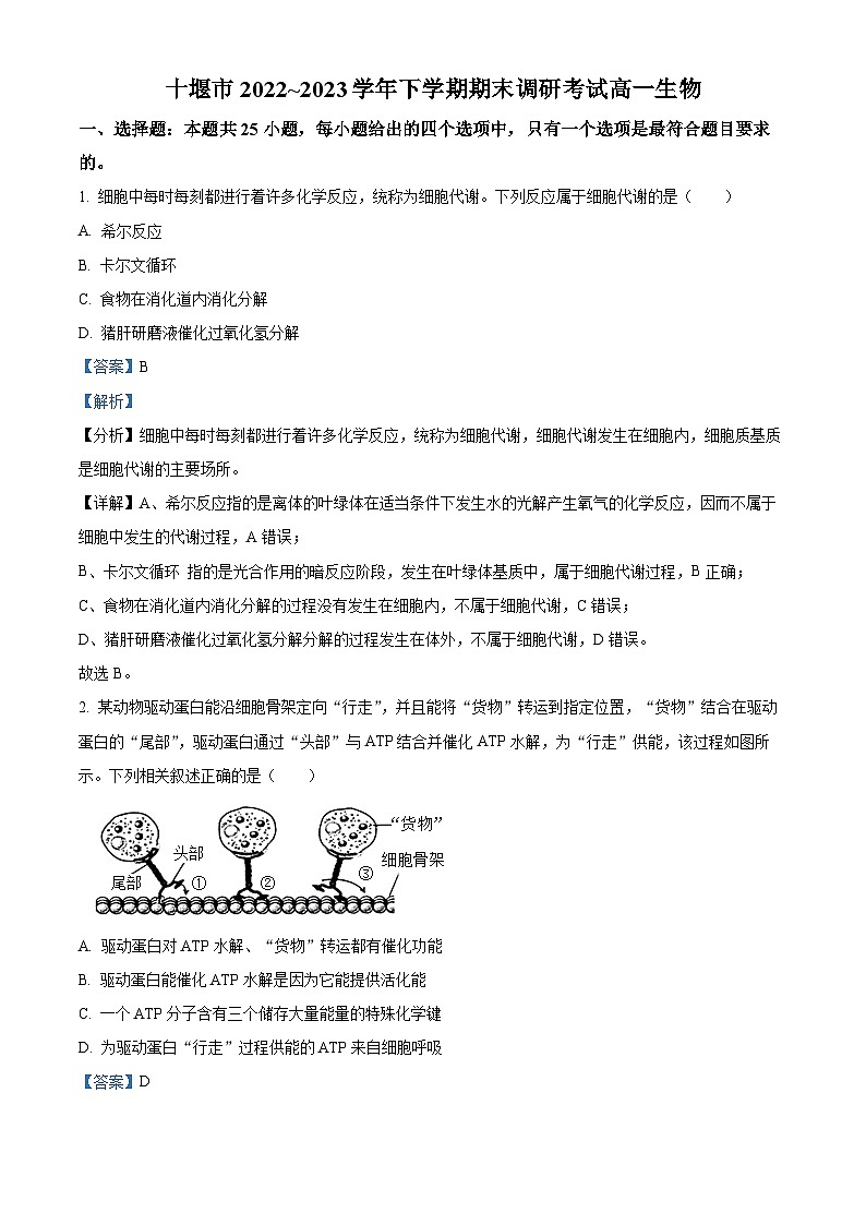 湖北省十堰市2022-2023学年高一生物下学期期末调研考试试题（Word版附解析）01