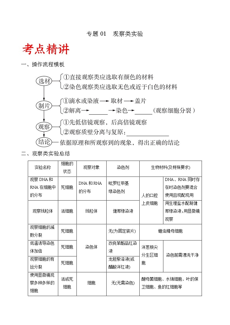 专题01 观察类实验-备战高考生物实验专项突破（解析版）+28第1页