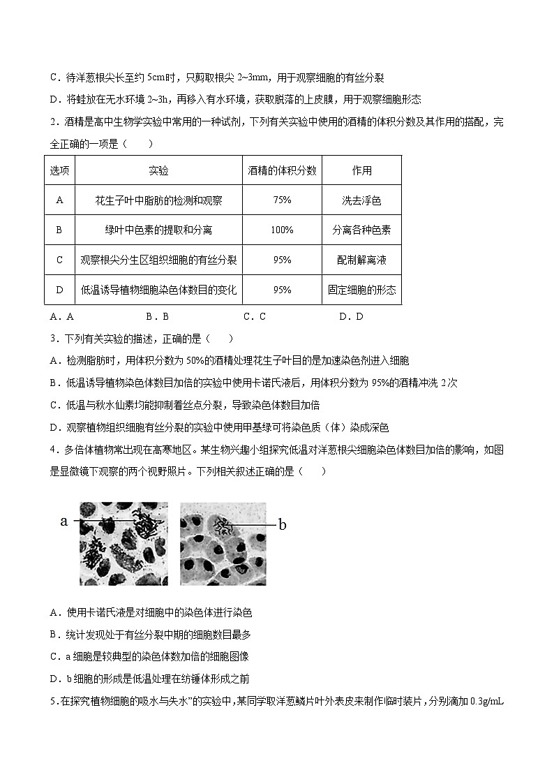 专题01 观察类实验-备战高考生物实验专项突破（原卷版）第3页