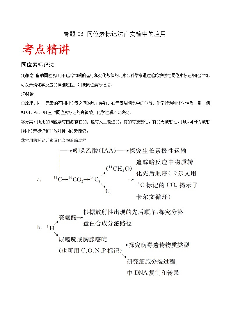 专题03 同位素标记法在实验中的应用-备战高考生物实验专项突破(原卷版）第1页