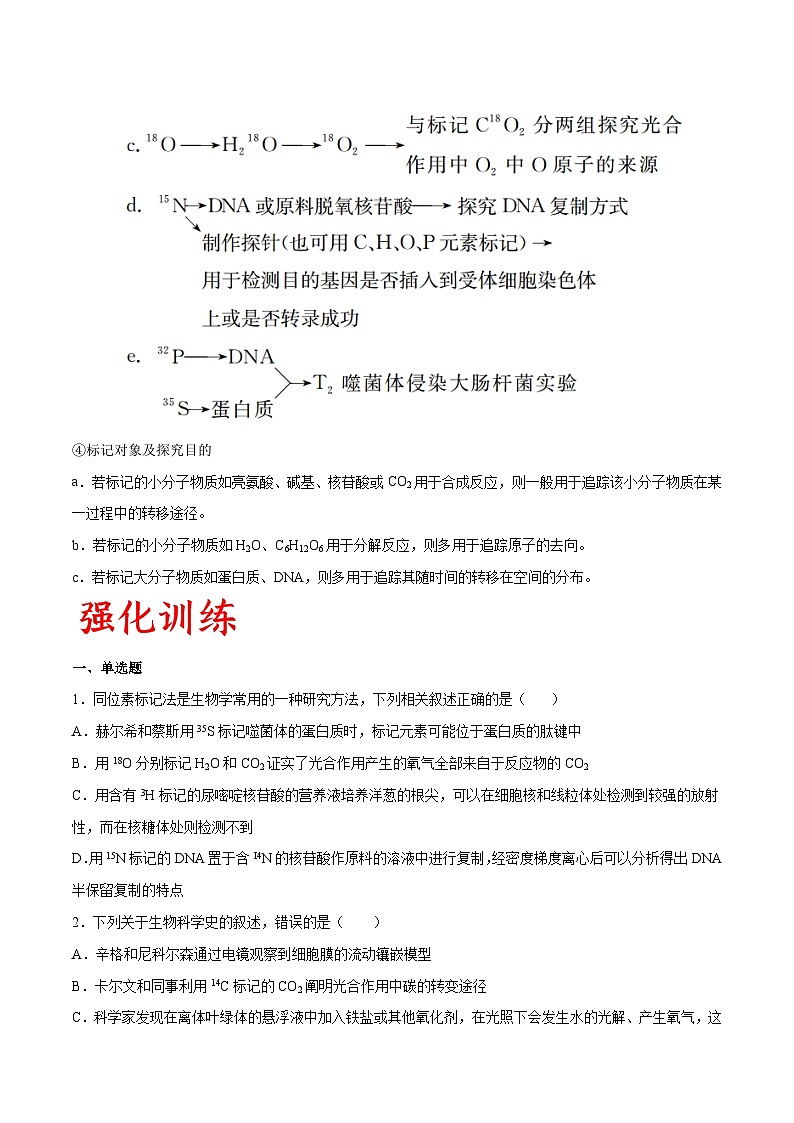 专题03 同位素标记法在实验中的应用-备战高考生物实验专项突破(原卷版）第2页