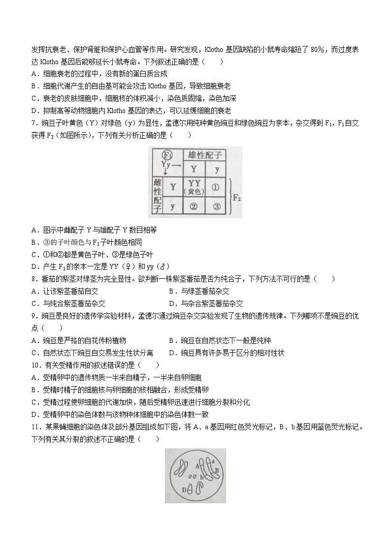 2023蚌埠高一下学期期末考试生物试题无答案02