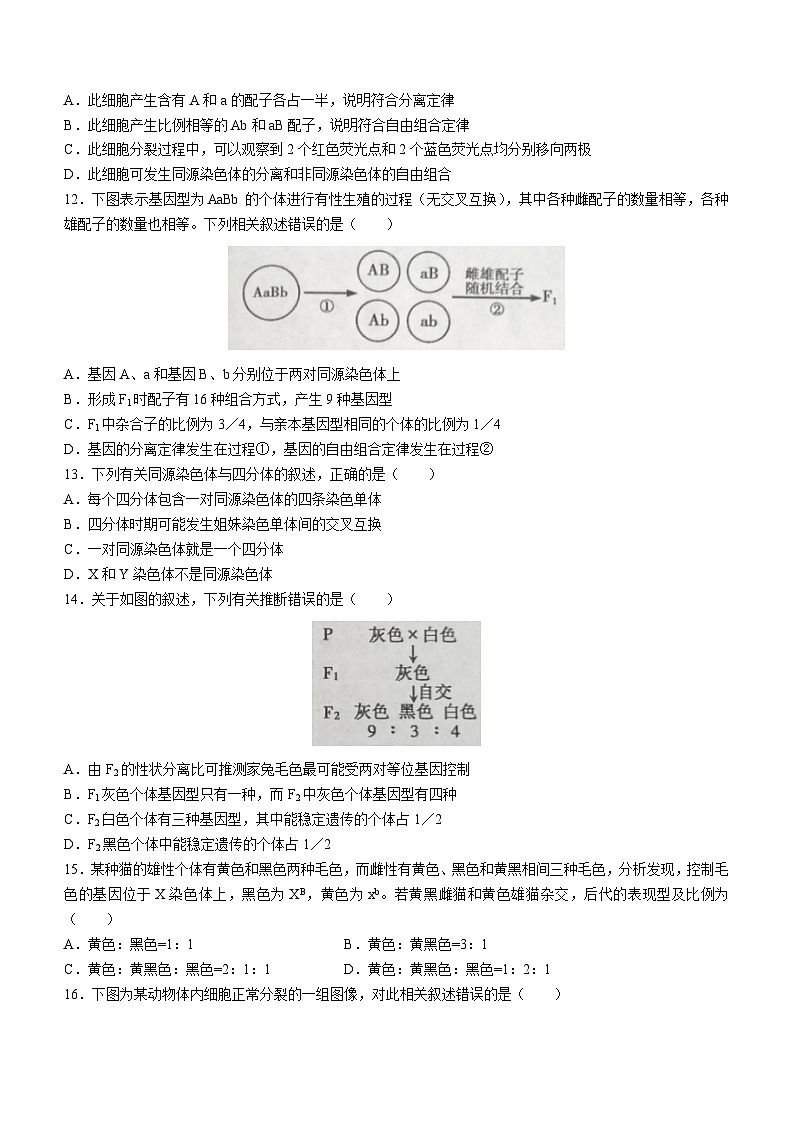2023蚌埠高一下学期期末考试生物试题无答案03