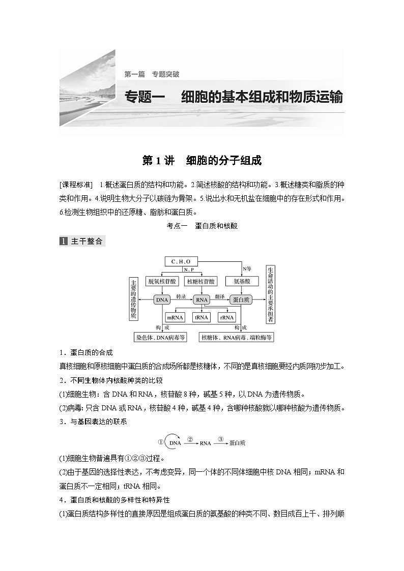 (新高考)高考生物二轮复习第1部分 专题突破 专题1 第1讲 细胞的分子组成(含解析)第1页