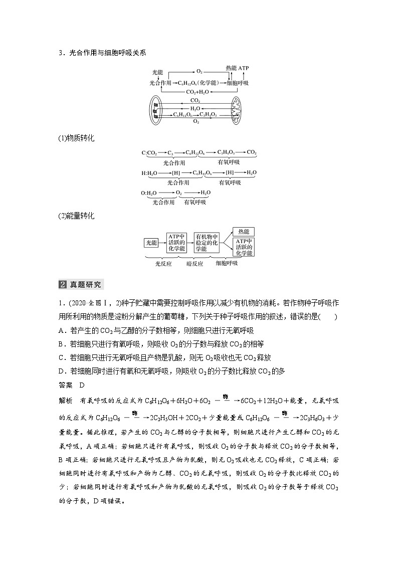 (新高考)高考生物二轮复习第1部分 专题突破 专题2 第2讲 光合作用和细胞呼吸(含解析)第2页