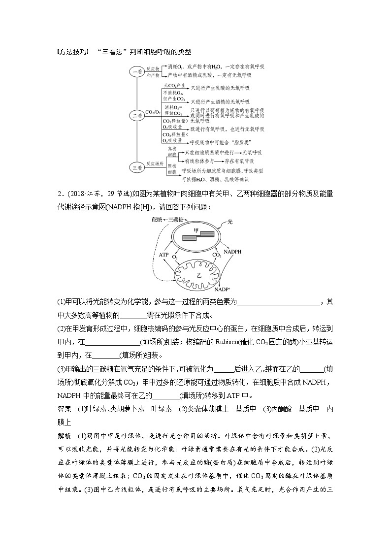 (新高考)高考生物二轮复习第1部分 专题突破 专题2 第2讲 光合作用和细胞呼吸(含解析)第3页