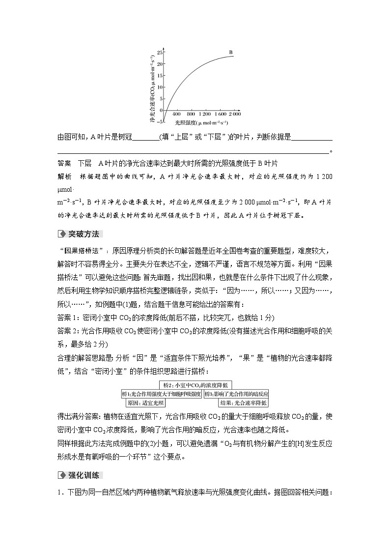 (新高考)高考生物二轮复习第1部分 专题突破 专题2 语言表达（二） 细胞代谢中相关现象的原因分析(含解析)02