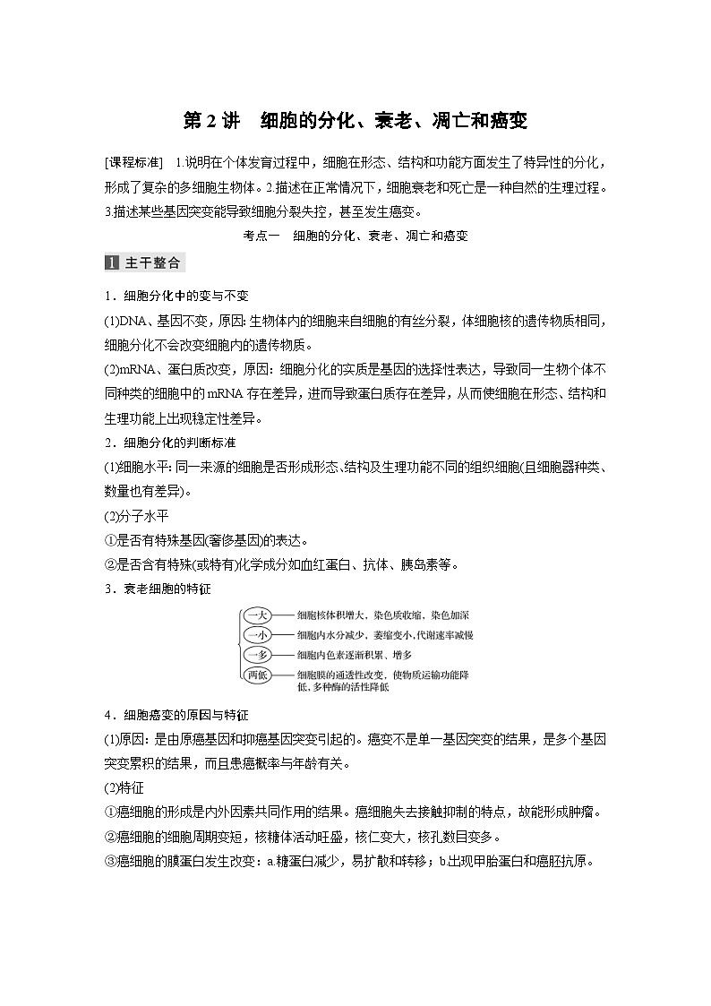 (新高考)高考生物二轮复习第1部分 专题突破 专题3 第2讲 细胞的分化、衰老、凋亡和癌变(含解析)第1页