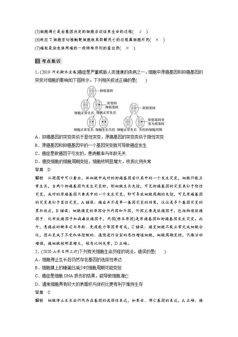 (新高考)高考生物二轮复习第1部分 专题突破 专题3 第2讲 细胞的分化、衰老、凋亡和癌变(含解析)第3页