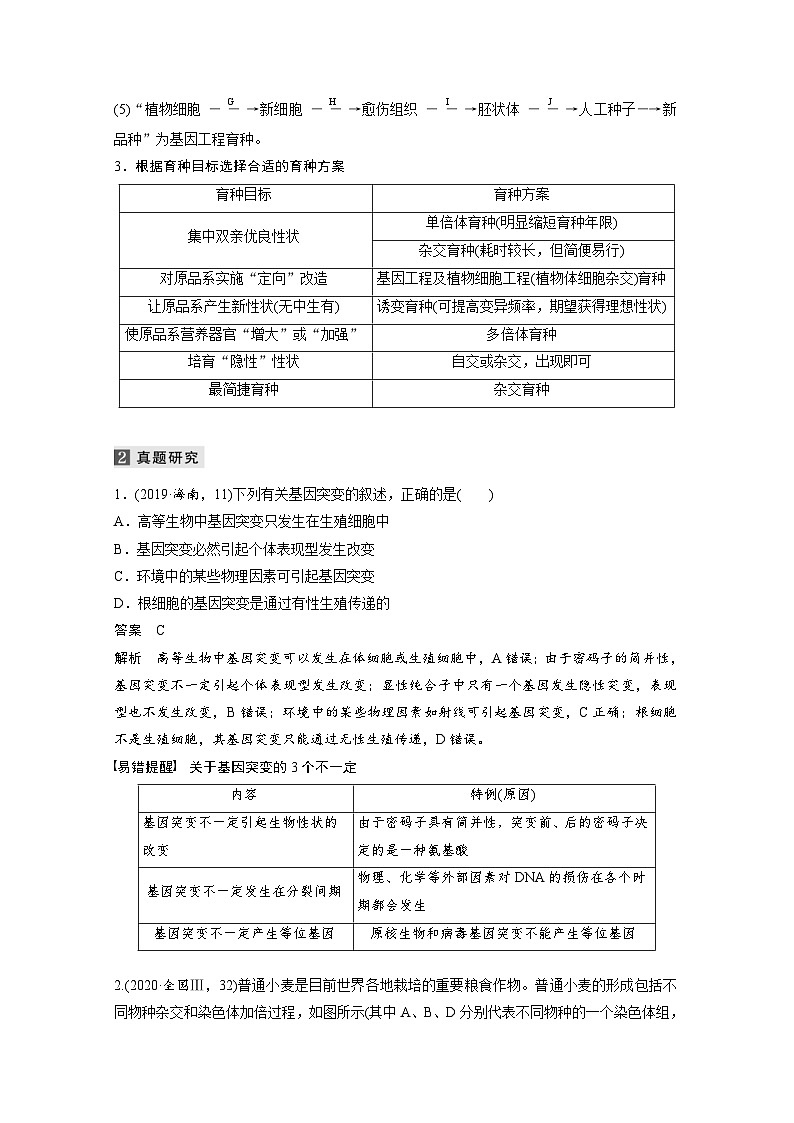 (新高考)高考生物二轮复习第1部分 专题突破 专题4 第3讲 变异、育种与进化(含解析)02