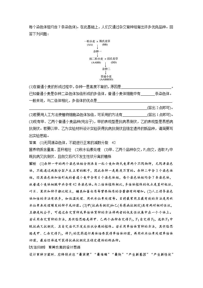 (新高考)高考生物二轮复习第1部分 专题突破 专题4 第3讲 变异、育种与进化(含解析)03
