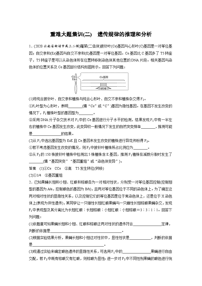 (新高考)高考生物二轮复习第1部分 专题突破 专题4 重难大题集训(二) 遗传规律的推理和分析第1页