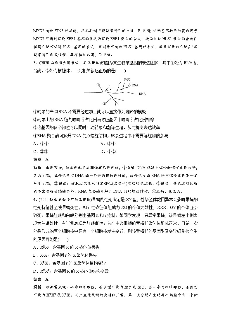 (新高考)高考生物二轮复习第1部分 专题突破 专题4 专题强化练(含解析)第2页