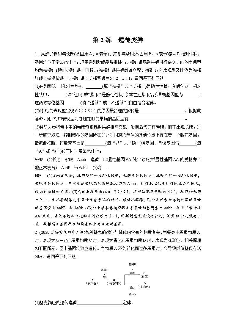 (新高考)高考生物二轮复习第3部分 题型增分练 非选择题专练  第2练　遗传变异(含解析)第1页