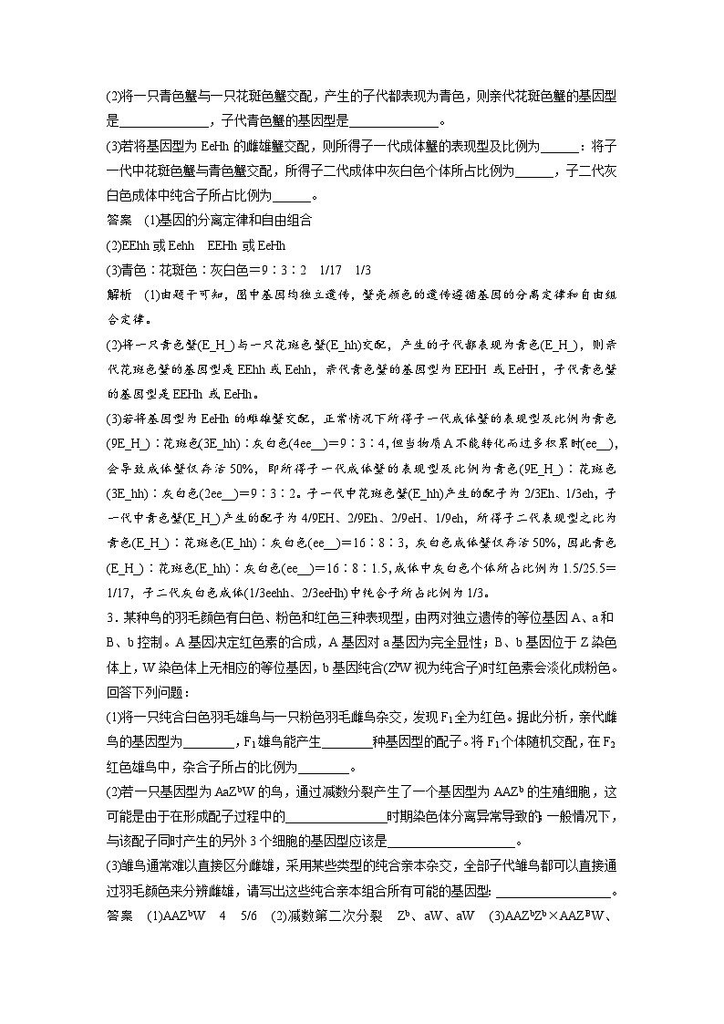 (新高考)高考生物二轮复习第3部分 题型增分练 非选择题专练  第2练　遗传变异(含解析)第2页