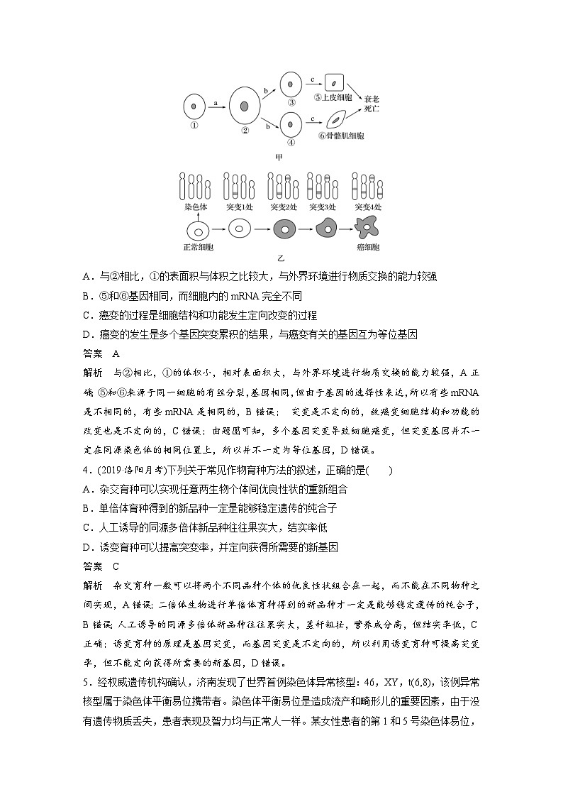 (新高考)高考生物二轮复习第3部分 题型增分练 选择题专练 第4练　变异、育种和进化(含解析)第2页