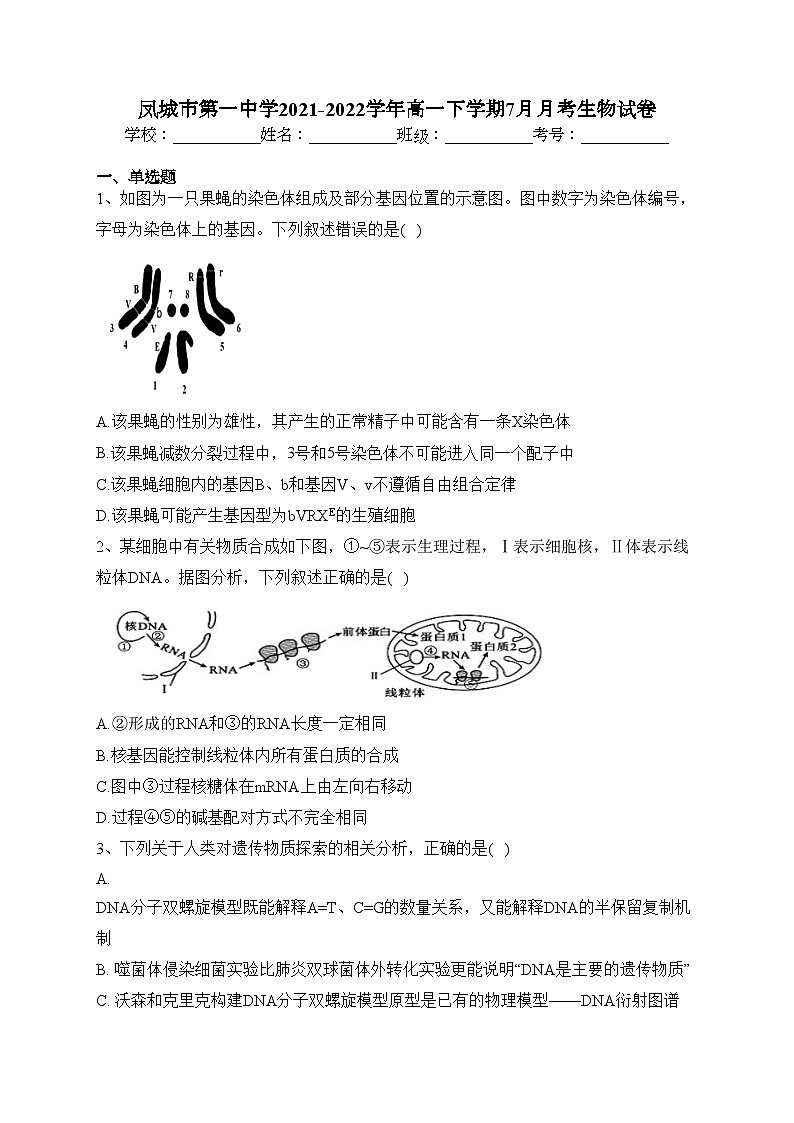 凤城市第一中学2021-2022学年高一下学期7月月考生物试卷（含答案）第1页