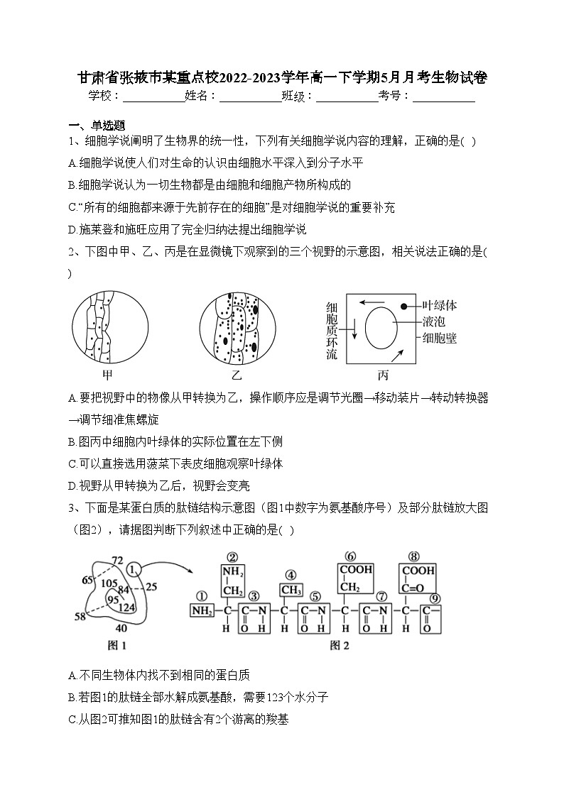 甘肃省张掖市某重点校2022-2023学年高一下学期5月月考生物试卷（含答案）第1页