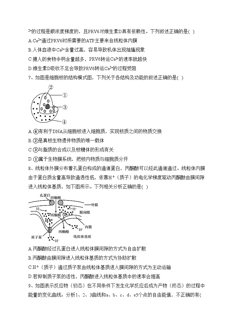 甘肃省张掖市某重点校2022-2023学年高一下学期5月月考生物试卷（含答案）第3页