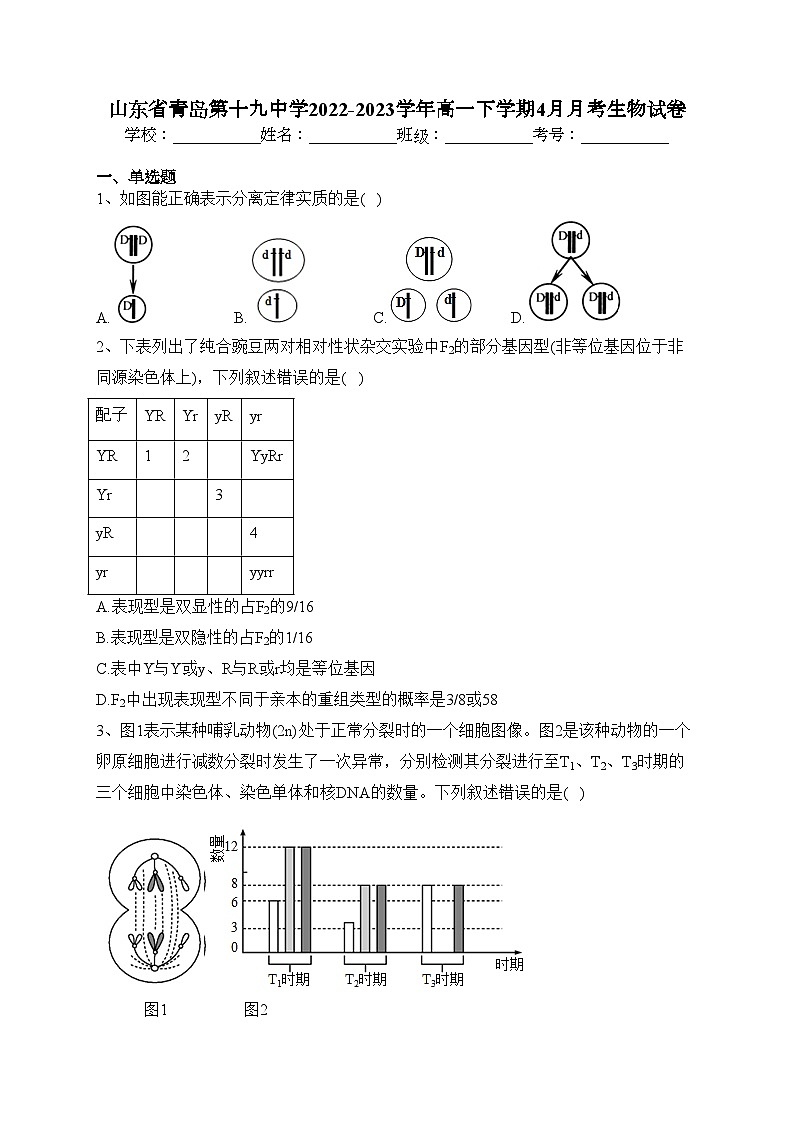 山东省青岛第十九中学2022-2023学年高一下学期4月月考生物试卷（含答案）01
