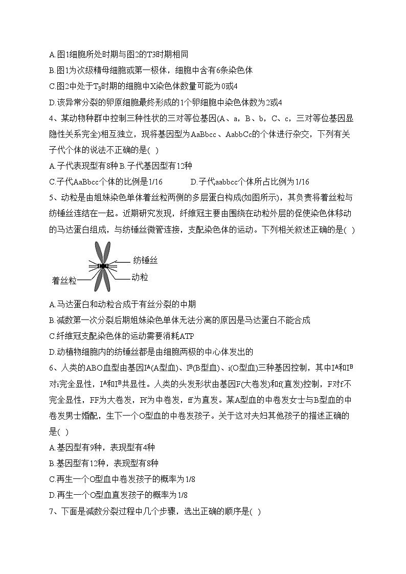 山东省青岛第十九中学2022-2023学年高一下学期4月月考生物试卷（含答案）02