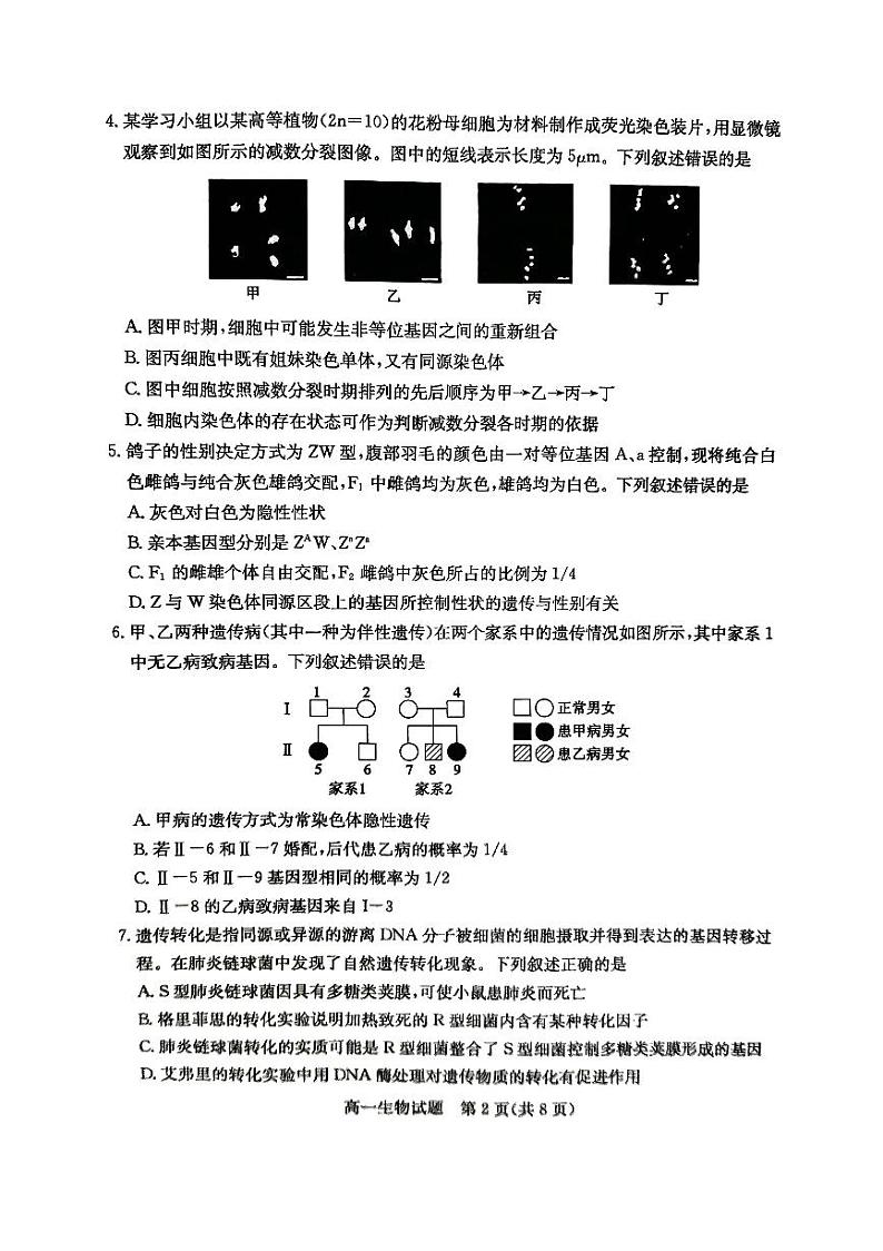 山东省聊城市2022-2023学年高一下学期7月期末生物试题02