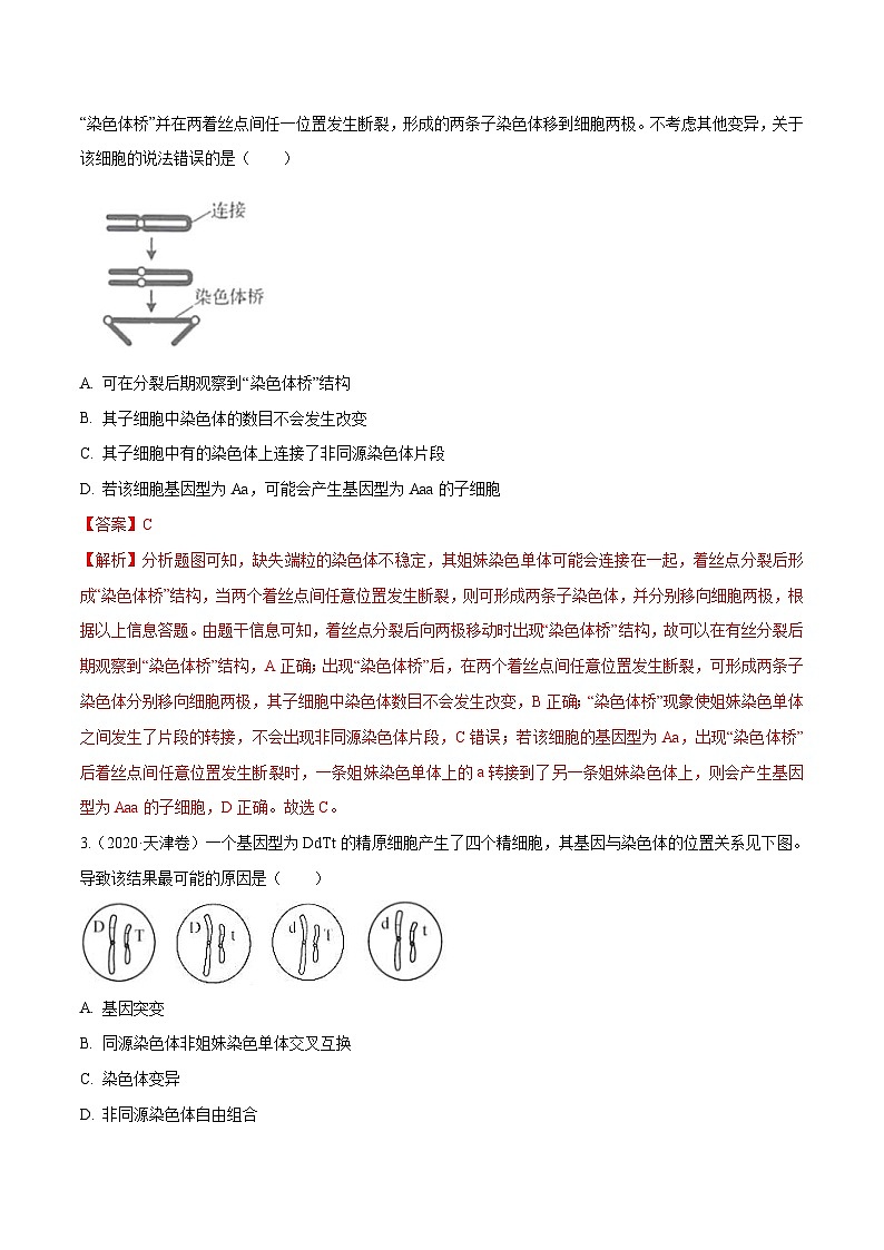 专题03 细胞的生命历程-十年（2011-2020）高考真题生物分项详解（含解析）02