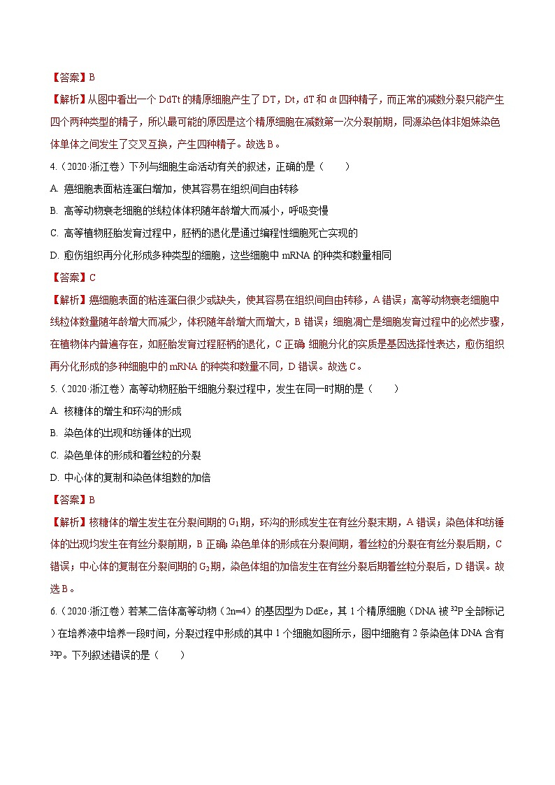 专题03 细胞的生命历程-十年（2011-2020）高考真题生物分项详解（含解析）03