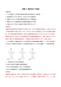 专题04 遗传的分子基础-十年（2011-2020）高考真题生物分项详解（含解析）