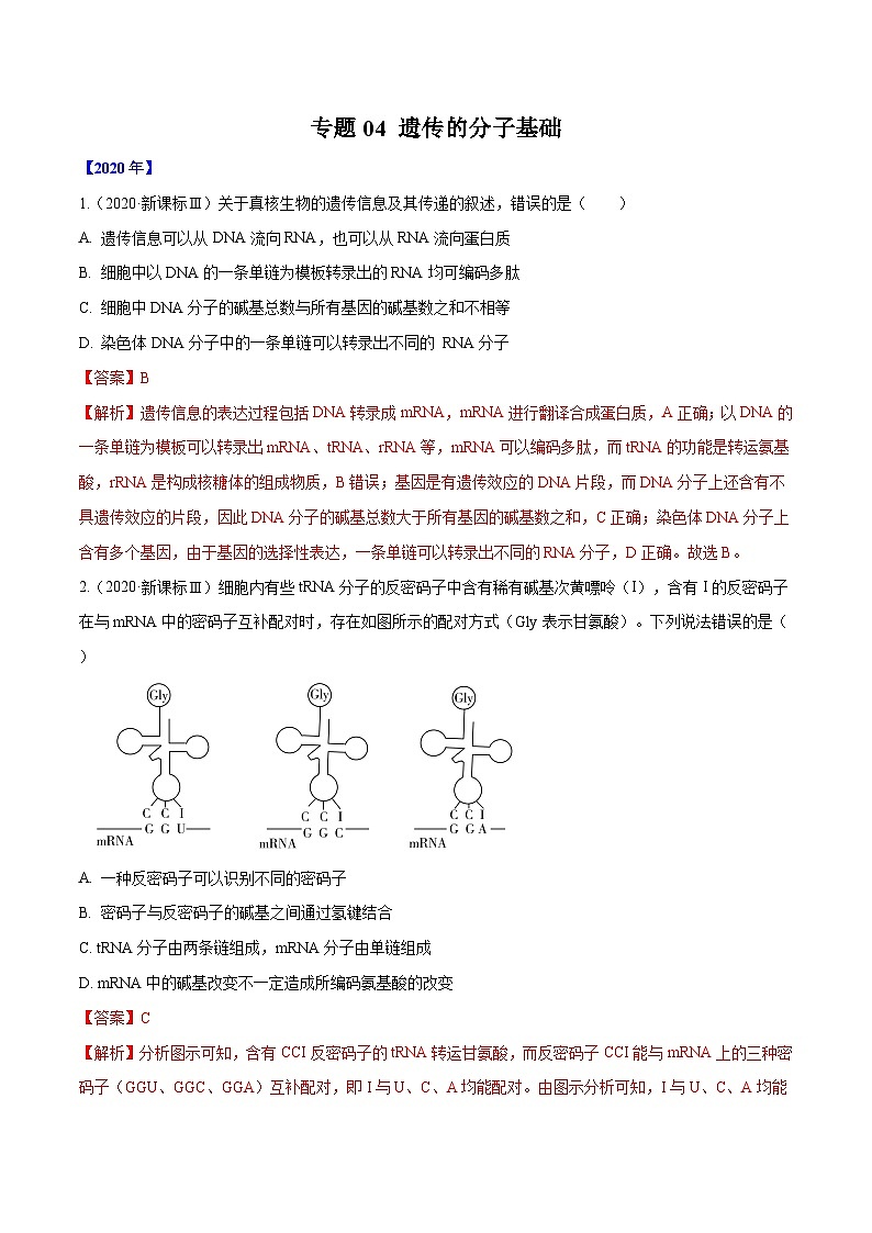 专题04 遗传的分子基础-十年（2011-2020）高考真题生物分项详解（含解析）01