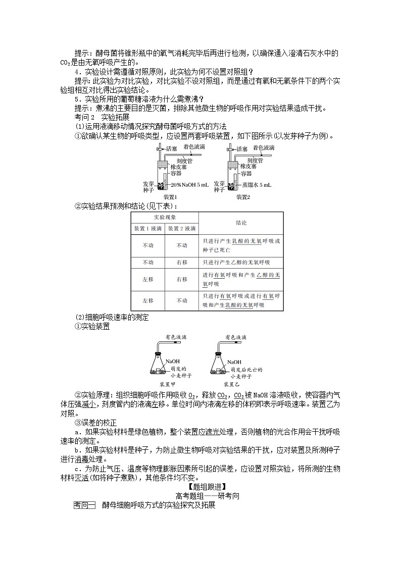高考生物一轮复习高考必考教材实验六 探究酵母菌的呼吸方式及实验拓展（含解析）第2页
